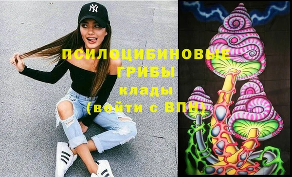 PSILOCYBIN Балабаново
