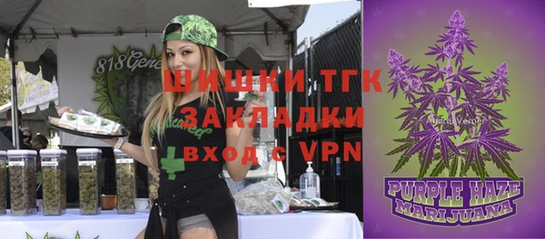 дмт Балахна