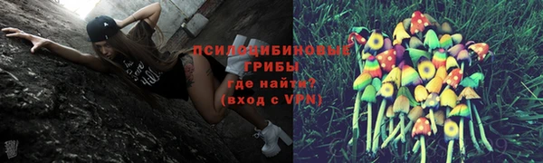 дмт Балахна