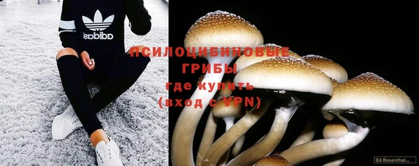 дмт Балахна
